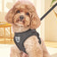 Dog Leash Vest Type Small Dog Walking Dog Leash out Chest Strap Imitation Earning Bracket Set