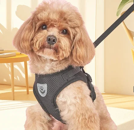 Dog Leash Vest Type Small Dog Walking Dog Leash out Chest Strap Imitation Earning Bracket Set