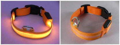 LED Dog Collar USB Rechargeable - Bright & High Visibility Lighted Glow Collar for Small Medium Large Breeds Pet Night Walking