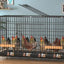 Chicken Coop Egg Laying Automatic Feces Clearing and Egg Rolling Chicken Cage Henhouse Folding Breeding Cage