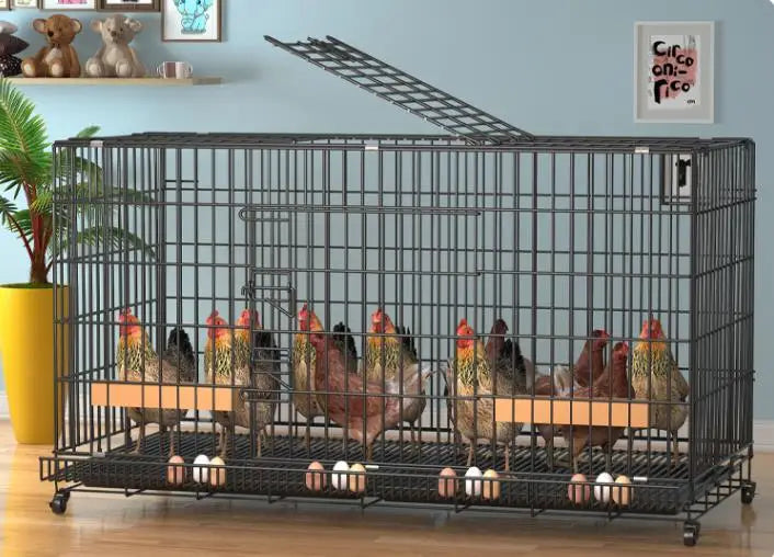 Chicken Coop Egg Laying Automatic Feces Clearing and Egg Rolling Chicken Cage Henhouse Folding Breeding Cage