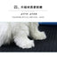 Cat Litter Mat EVA Double Layer Cat Litter Mat Cat Litter Basin Sand Falling Mat Eva Cat Litter Mat Cat Nest Mat Pet Mat
