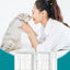 Good Price Veterinary cage Stainless Steel Four Sets of Dog Cat Stainless Steel Pet Cage