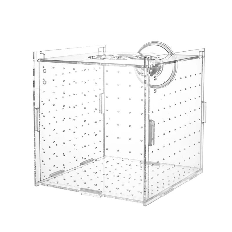 HighTransparent Acrylic Aquarium Fish Breeding Feeding Isolation Box Fish Aquarium Breeder Hatching Incubator Tank  Accessories