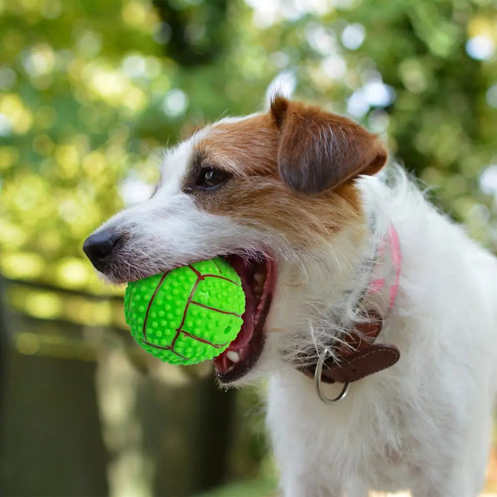 Dog Training Ball Toy Squeaky Treat Ball Interactive Pet Toys Ball Feeder Pet Stimulation Toy Bite-Resistant Puppy Toys