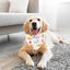 Fruit Dog Bandana Triangle Scarfs Bibs with Cute Fruit Pattern Cartoon Dog Triangle Bib Fruit Print Pet Neckerchief for Pet Dog