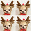Funny Pet Dog Cat Halloween Costume Dog Costumes for Small Dogs Cosplay Elk Transformed Winter Warm Dog Clothes