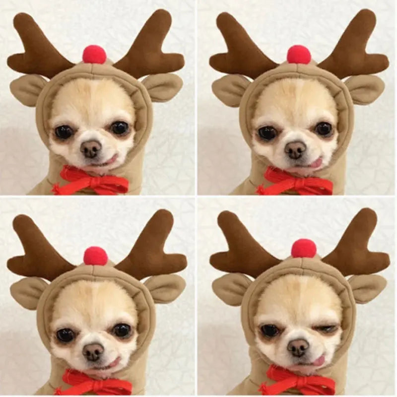 Funny Pet Dog Cat Halloween Costume Dog Costumes for Small Dogs Cosplay Elk Transformed Winter Warm Dog Clothes