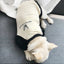2022 Spring and Autumn New Style Pet Parent-child Clothing Bichon Cat Clothes Embroidered Dog Costumes