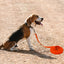 5m10m Waterproof Dog Leash Long Pvc Pet Leashes Easy To Clean Rope for Small Medium Large Big Dogs Walking Traning Lead