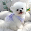 Summer Puppy Dog Skirt Dress with Buckle Sweet Stripe Pet Clothes for Small Dogs Pinscher Maltese mascotas Dresses disfraz perro