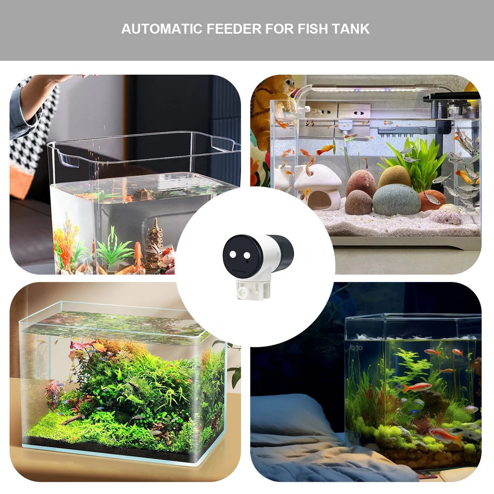 Automatic Fish Feeder Electric Aquarium Feeder With Smart Timer Silent Auto Fish Food Dispenser With 200ml Feed Box Timer