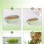Good Quality Soilless hydroponic growing cup Lazy planting cup Hydroponic cultivation