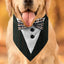 Bandana for Dogs Fashionable Small Dog Bandana Triangle Dog Scarf Pet Triangle Scarf Breathable Dog Handkerchiefs for Parties