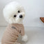 Dog Clothes for Small Dogs Cotton Dog Vest All Seasons Soft Dog Undershirt Chihuahua Bichon Costume Puppy Hoodie Dog T-Shirt