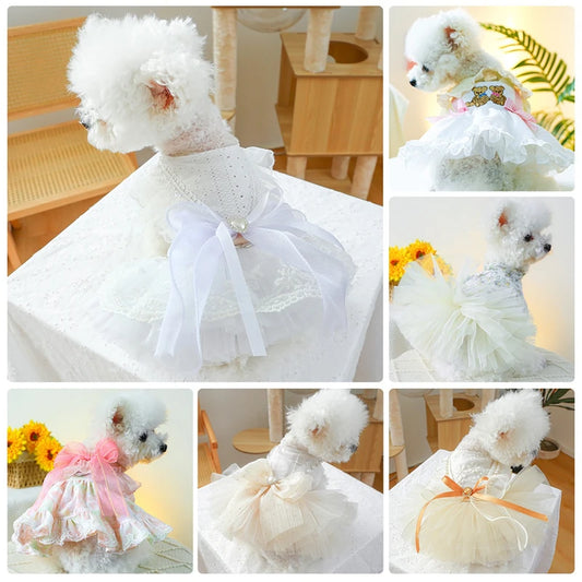 Sweet Princess Female Puppy Summer Clothes Wedding Party Dress for Dogs White Lace French Bulldog Small Medium Pet Cat Clothing