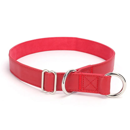 Slip Collar PU Leather Dog Choke Collar for Dog Training- No Pull Martingale Dog Collar for Small Medium Large Dogs Greyhound