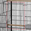 Hot Selling Durable Iron Wire Large Pet Cage Breeding Bird Parrot Cage Rabbit Cage