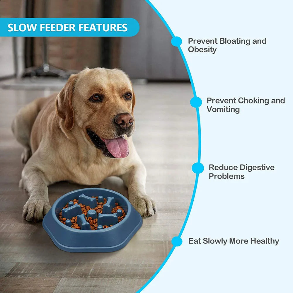 Slow Feeder Dog Bowls Slow Eating Pet Bowls Puzzle Anti-Gulping Interactive Bloat Durable Preventing Choking Healthy Dogs Bowl