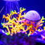 UXCELL Luminous Mushroom Plants Glowing Coral Plastic Artificial Aquarium Fluorescence Deco Ornament Fish Tank Accessories
