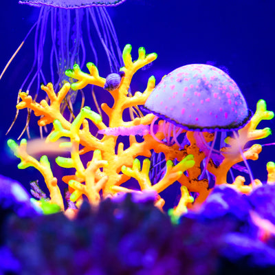 UXCELL Luminous Mushroom Plants Glowing Coral Plastic Artificial Aquarium Fluorescence Deco Ornament Fish Tank Accessories