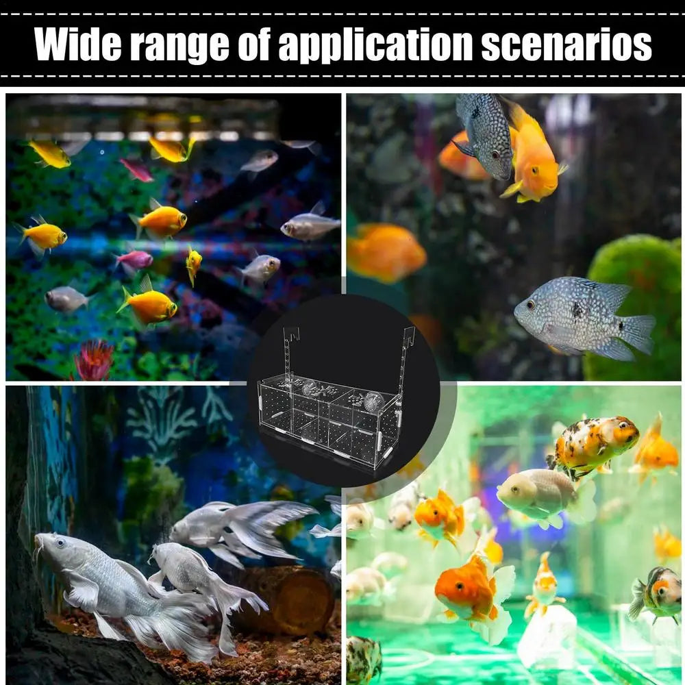 Fish Breeder Box for Aquarium Acrylic Clear Breeder Box with Hook Multifunctional Non Slip Aquarium Incubator with Suction Cup