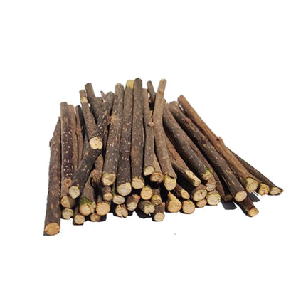 4pcs/Lot Pure Natural Catnip Stick Pet Toys For Cats Molar Toothpaste Branch Cleaning Teeth Silvervine Cat Snacks Sticks