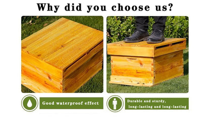 10 Frame Bee Hive, Complete Beehive Kit Beeswax Coated Beehive Include Frames, Bee Hive Boxes Starter Kit for Bee Keekeepers