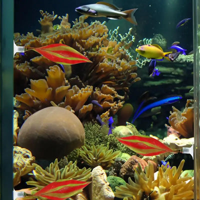 Fake Silicone Betta Fish Leaf Hammock, Pad with Suction Cup, Fish Resting Spot, Bed for Tank