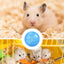 Hamster Exercise Balls With Traction Rope Transparent Hamster Running Ball Wheel Safe Hamster Exercise Balls Pet Supplies
