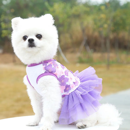 Lace Chiffon Dress for Small Dog Cat Lovely Floral Dress Pet Party Birthday Costume Dog Wedding Dress Cute Dog Clothes in Summer