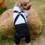 Stylish Dog Tuxedo Suit Dog Prince Wedding Shirt Costume Formal Tuxedo with Bowtie Puppy Clothes Dog Jumpsuit for Small Dogs