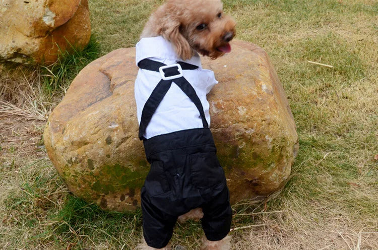 Stylish Dog Tuxedo Suit Dog Prince Wedding Shirt Costume Formal Tuxedo with Bowtie Puppy Clothes Dog Jumpsuit for Small Dogs