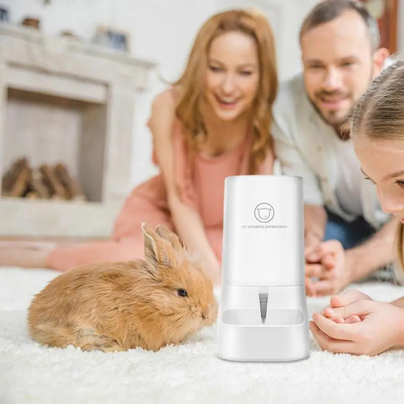 Cat Feeder Automatic Gravity Feeding System Large Mouth Design Pet Feeder Safe Using Dog Automatic Feeders Cat Water Dispenser