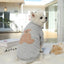 2023 New Spring Summer Pet Clothes Bear Pattern Sweater And Comfortable Puppy Clothes Teddy  Hiromi For Small And Mid Sizes Dogs