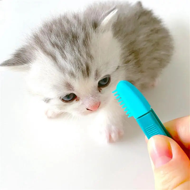 Pet Eye Comb Brush Tear Stain Remover For Cats Cleaning Grooming Comb For Small Dogs And Cats Flexible Silicone Design Soft
