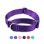 Martingale Heavy Duty Nylon Dog Collar for Small, Medium, Large Breeds Adjustable Safety Training Collar