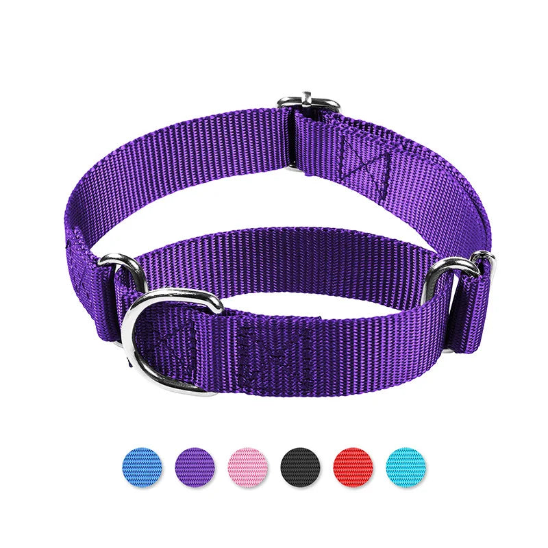 Martingale Heavy Duty Nylon Dog Collar for Small, Medium, Large Breeds Adjustable Safety Training Collar