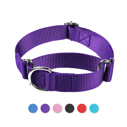 Martingale Heavy Duty Nylon Dog Collar for Small, Medium, Large Breeds Adjustable Safety Training Collar