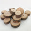 5/10Pcs DIY Natural Wood Slices Round Wooden Circles for Hamster Rabbit Teeth Grinding Toys for Chinchilla Pet Toys accessories
