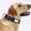 Adjustable Dog Collar Comfortable Soft Foam Padded Reflective Nylon Dog Collar with Double D Rings for Small Medium Large Dogs