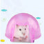 Summer Cool Pet Cage for hamster Squirrel Arch Cooling Down Plastic House Small Animal Cage accessories Bed Play Toys Hot-Sale