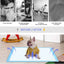 Pet Dog Disposable Diapers Mat Panties Absorbent Training Pee Floor Towel for Dogs Cat Nappies Puppy Physiological Supplies Pads