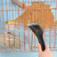 Multifunctional Bird Feeder Cleaner Brush Bird Cage Cleaning Stainless Steel Ergonomics Handle Durable Bird Droppings Cleaning