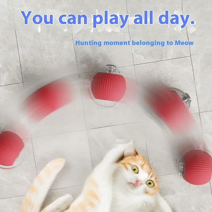 New Smart Cat Dog Toys Automatic Rolling Ball Fake Tail Rechargeable Electric Cat Bite Resistant Interactive Toy Pet Products