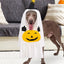 Halloween Costume for Dogs Witch Hat Pumpkin White Ghost Costume Fancy Dress for Dogs Cats Pet Outfits for Halloween Cosplay