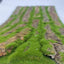 Reptile Cork Terrarium Background Lizard Habitat Decorations Bark Backdrop Reptile Habitat Decor With Artificial Moss for Gecko