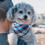 Plaid Cat Dog Bandana Pet Puppy Soft Cotton Bandanas Handkerchiefs Scarfs Triangular Bandages Accessories for Kittens Puppies