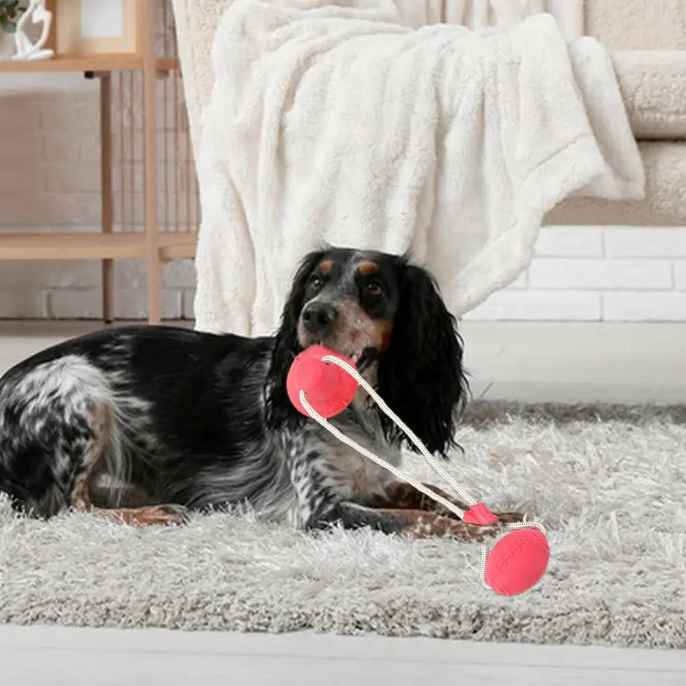 Dogs Suction Tug Toy Pet Tug Toys Puppy Chewing Teething Chew Toy Pet Training Anti Biting Rope Toys Dog Boredom Games