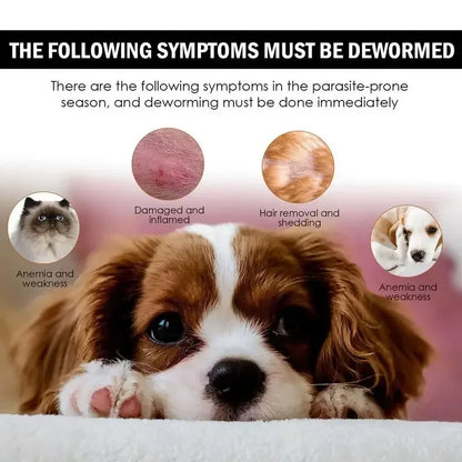 30ml Pets Dog Cat Anti-Flea Drops Insecticides Flea Lice Insect Remover Spray Flea And Tick Concentrate Formula Pet Flea Remover